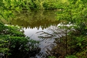 _DSC0479.jpg