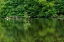 _DSC0484.jpg