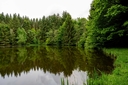 _DSC0486.jpg