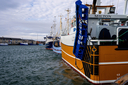 _DSC0792.jpg