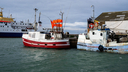 _DSC0803.jpg