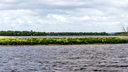_DSC1279.jpg