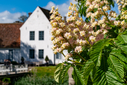 Filnavn=DSC00086.jpg
Filstørrelse=1380KiB
Dimensioner=1500x1001
Dato for tilføjelse=20 Maj, 2025 DSC00086.jpg
