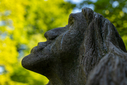 DSC00125.jpg