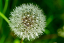 Filnavn=DSC00171.jpg
Filstørrelse=1002KiB
Dimensioner=1500x1001
Dato for tilføjelse=18 Maj, 2025 DSC00171.jpg