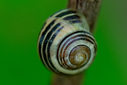 Filnavn=DSC00274.jpg
Filstørrelse=1693KiB
Dimensioner=1499x1000
Dato for tilføjelse=10 Sep, 2025 DSC00274.jpg