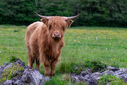 Filnavn=DSC00524.jpg
Filstørrelse=1367KiB
Dimensioner=1500x1001
Dato for tilføjelse=22 Maj, 2025 DSC00524.jpg