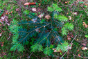 Filnavn=DSC00669.jpg
Filstørrelse=1730KiB
Dimensioner=1500x1001
Dato for tilføjelse=05 Jun, 2025 DSC00669.jpg