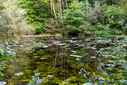 Filnavn=DSC00685.jpg
Filstørrelse=2378KiB
Dimensioner=1500x1001
Dato for tilføjelse=05 Jun, 2025 DSC00685.jpg