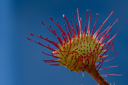 DSC00896.jpg