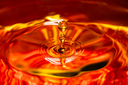 Filnavn=DSC01422.jpg
Filstørrelse=1069KiB
Dimensioner=1500x1000
Dato for tilføjelse=12 Feb, 2026 DSC01422.jpg