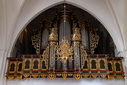 DSC01763.jpg