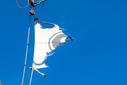 DSC01903.jpg