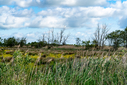 DSC02029.jpg