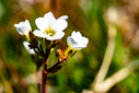 DSC02148.jpg
