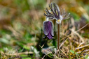 DSC02164.jpg