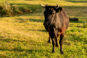 DSC02611.jpg