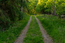 DSC02612.jpg