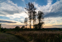Filnavn=DSC03113.jpg
Filstørrelse=1434KiB
Dimensioner=1500x1001
Dato for tilføjelse=13 Aug, 2026 DSC03113.jpg
