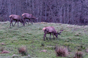Filnavn=DSC05344-2.jpg
Filstørrelse=1759KiB
Dimensioner=1500x1001
Dato for tilføjelse=26 Apr, 2024 DSC05344-2.jpg