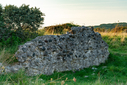 DSC08649.jpg