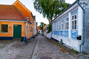 DSC08881.jpg