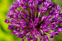 Filnavn=DSC09837.jpg
Filstørrelse=1013KiB
Dimensioner=1500x1001
Dato for tilføjelse=18 Maj, 2025 DSC09837.jpg