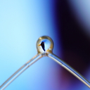_SDC4580.JPG